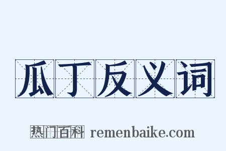 瓜丁反义词是什么意思的图片